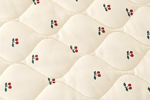 Cute Printed Quilt Newborn Blanket